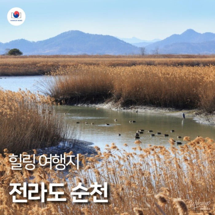 Explore the Natural Beauty of Suncheon2179