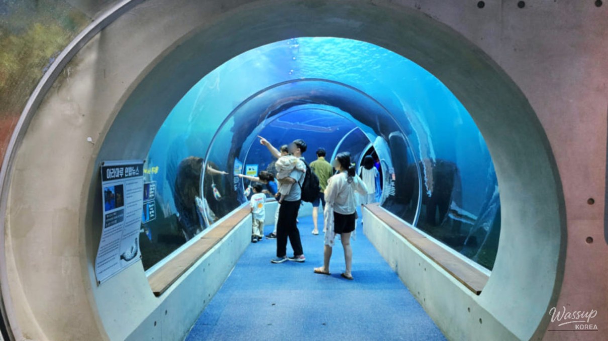Natural sunlight entering the aquarium exhibition space during winter in Sacheon.