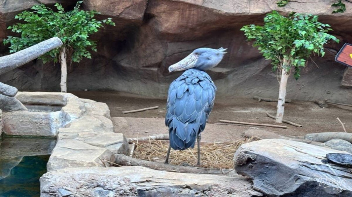 Sea cable car crossing above the ocean near Samcheongpo Bridge in winter.