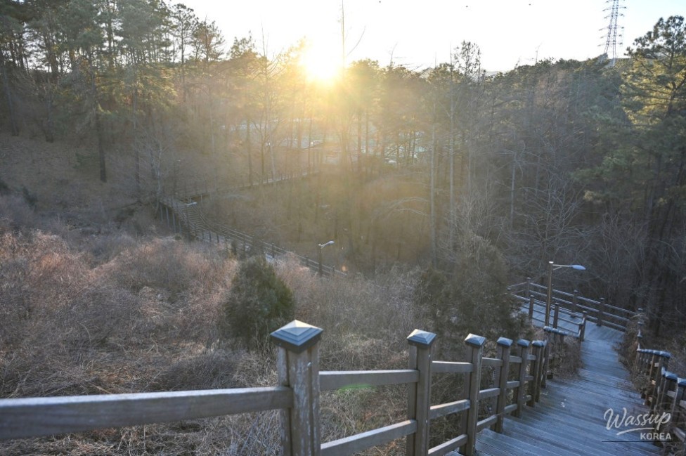 Exploring Jincheon Gwanghye-won Sports Park_15