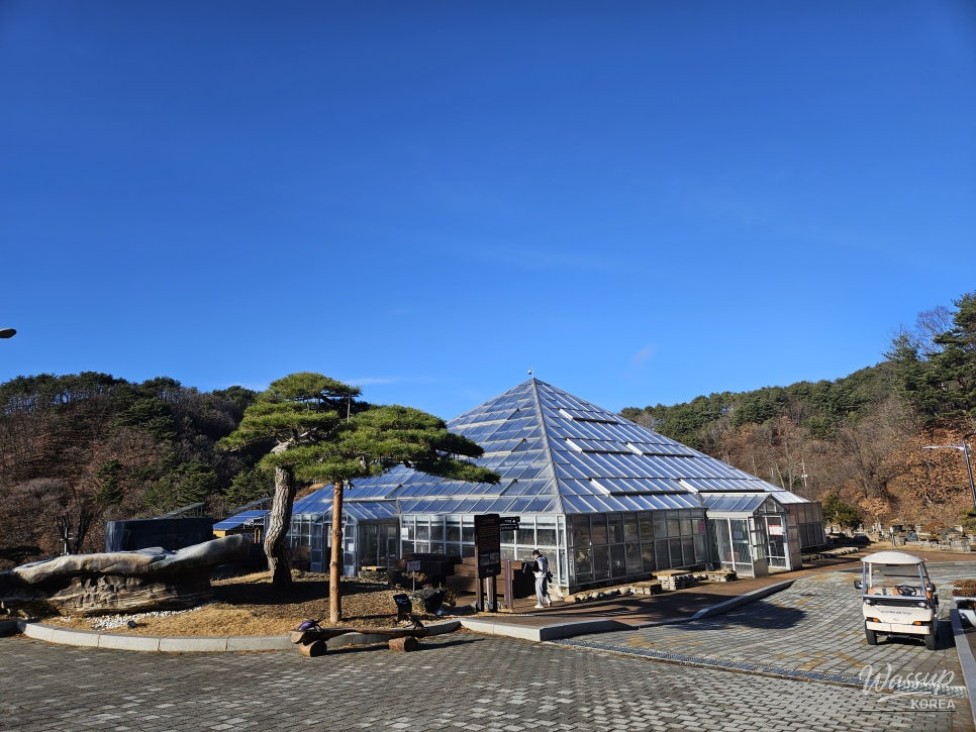 Explore Yanggu Arboretum: Sledding and Nature All Year Round!_03