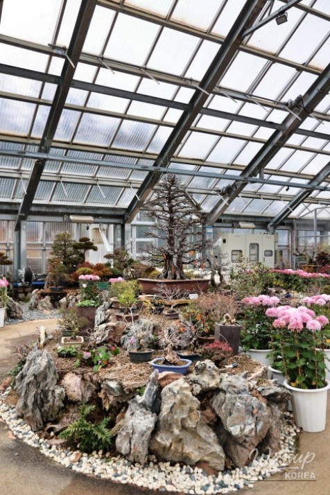 Explore Yanggu Arboretum: Sledding and Nature All Year Round!_04