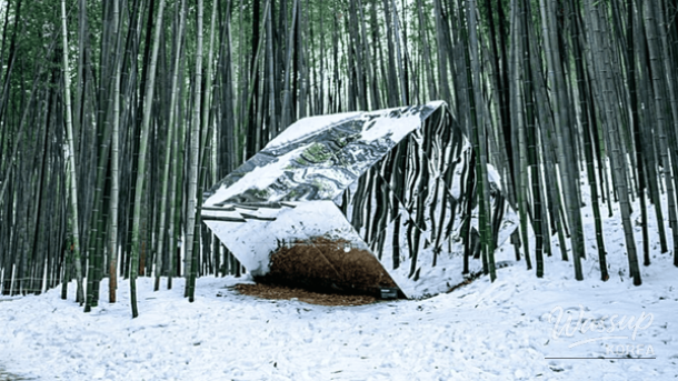 Winter sea and café-lined streets of Gangneung with a calm seasonal atmosphere.