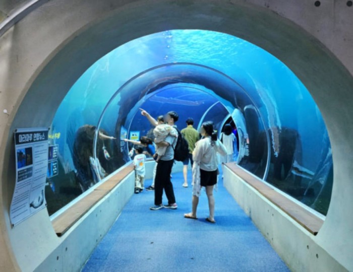 Discovering the Modern Aquarium Experience in Sacheon float