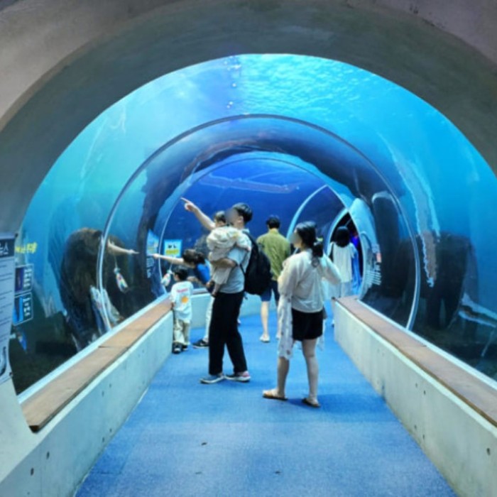 Discovering the Modern Aquarium Experience in Sacheon2198