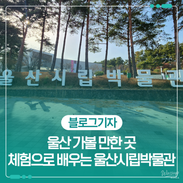 Exploring the Ulsan Museum: A Journey Through Time1214