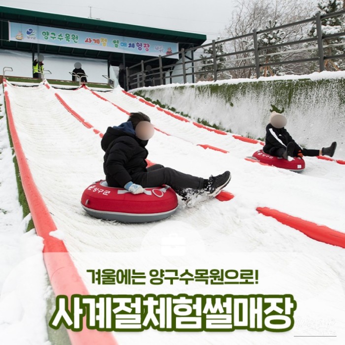 Explore Yanggu Arboretum: Sledding and Nature All Year Round!295