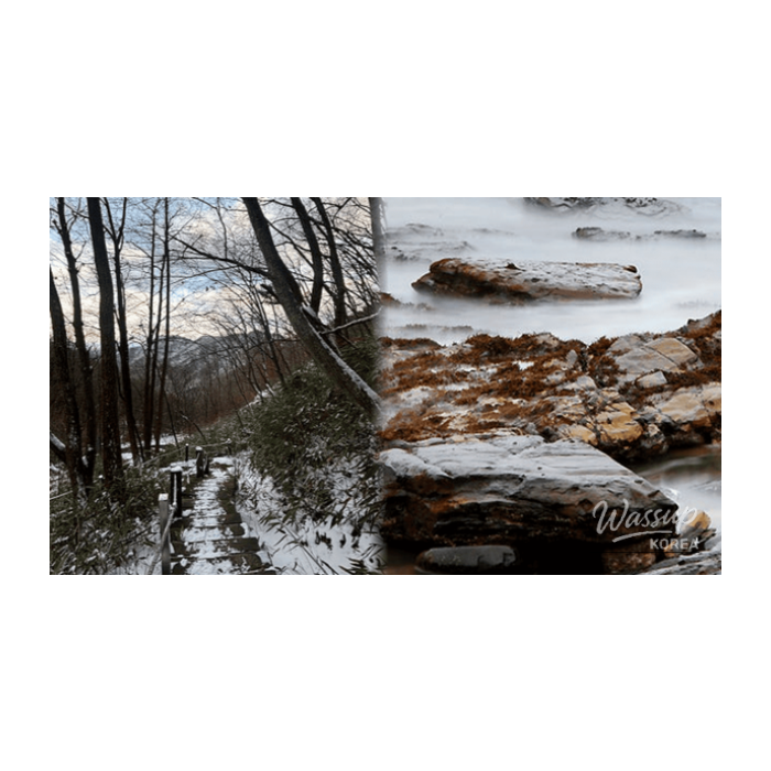 Exploring the Tranquil Beauty of Geumsan in February2202