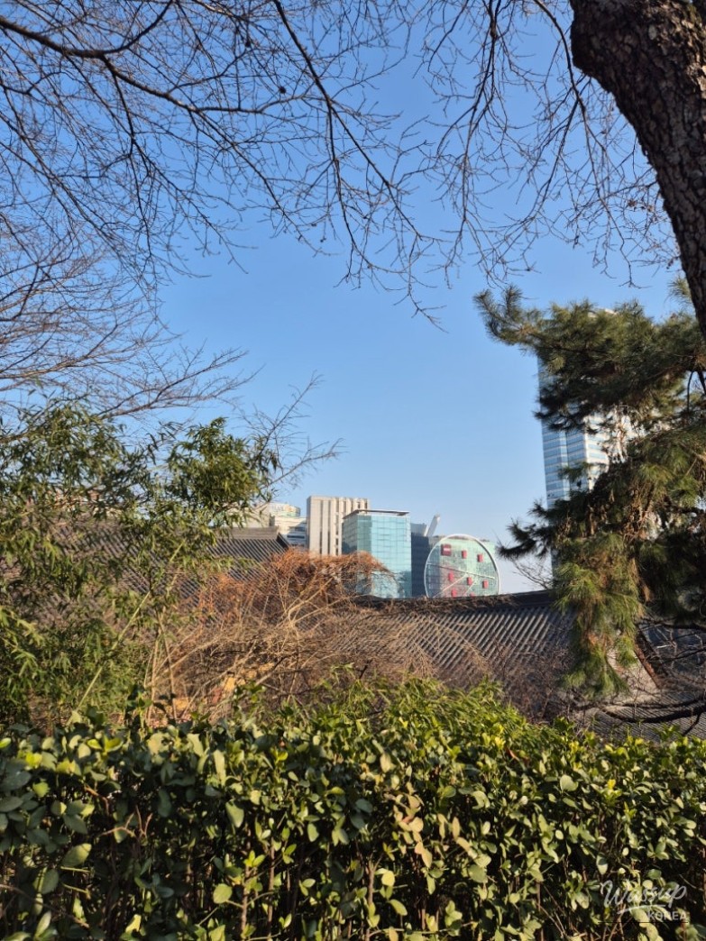 Exploring Bongeunsa Temple: A Serene Retreat in Seoul_04