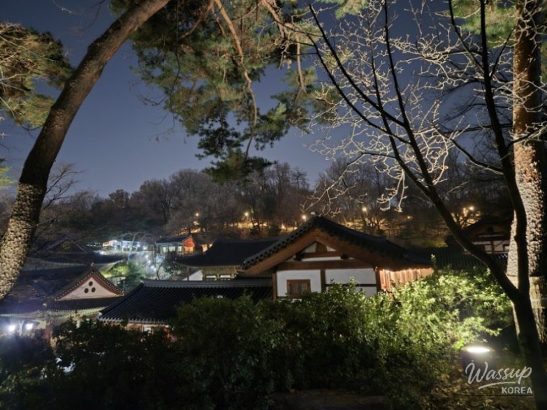 Exploring Bongeunsa Temple: A Serene Retreat in Seoul_07