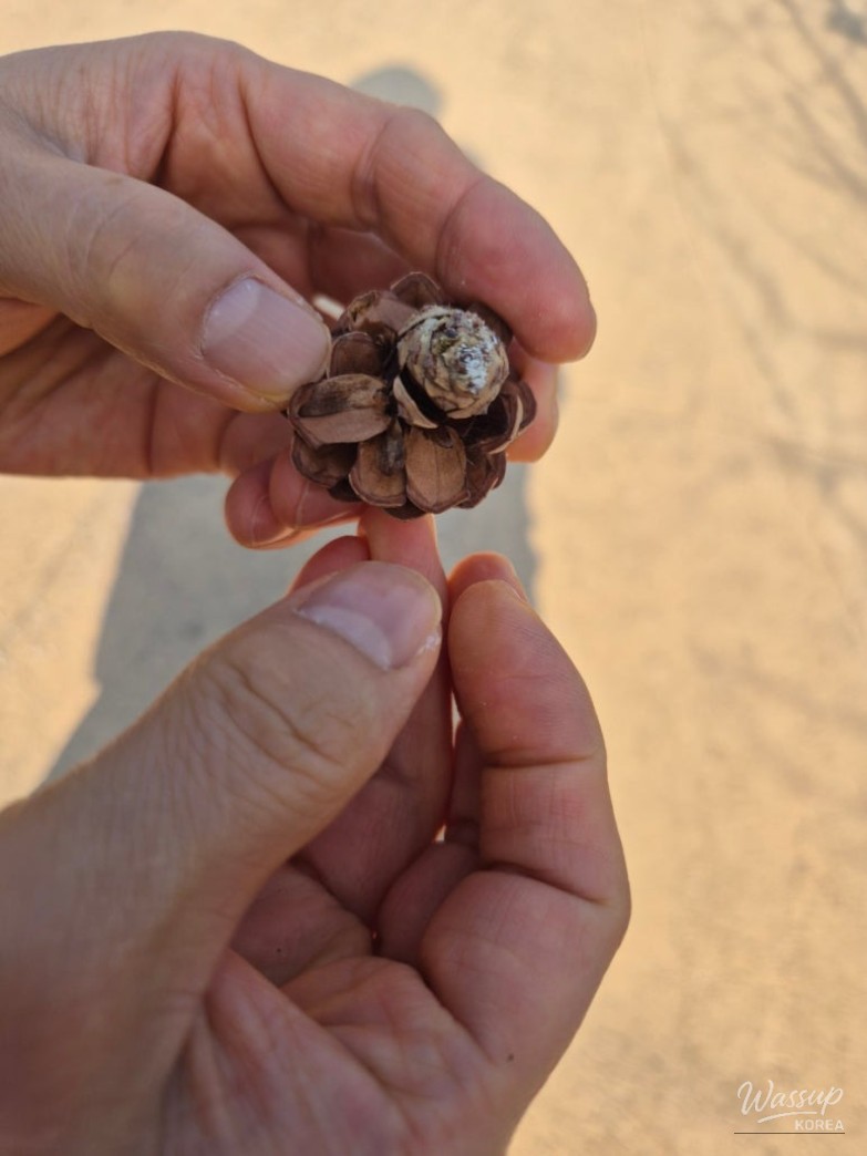 Exploring Bongeunsa Temple: A Serene Retreat in Seoul_02