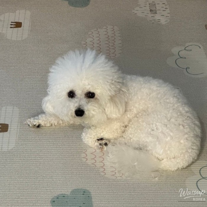 My Journey to Osaka: Day 1215