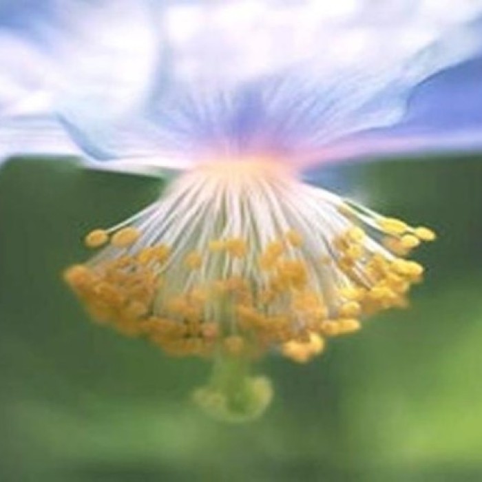 A Fresh Seafood Feast in Busan's Seo-gu1844