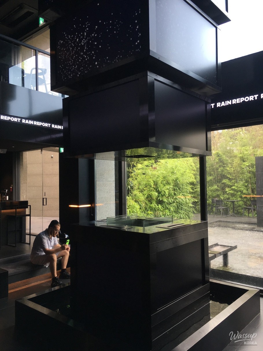 Charming Cafe Experience_05