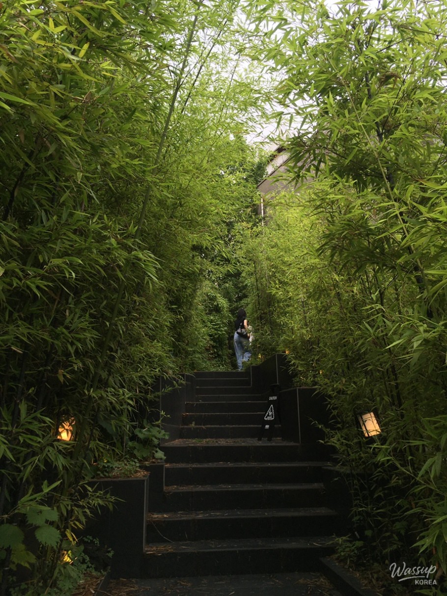 Charming Cafe Experience_03