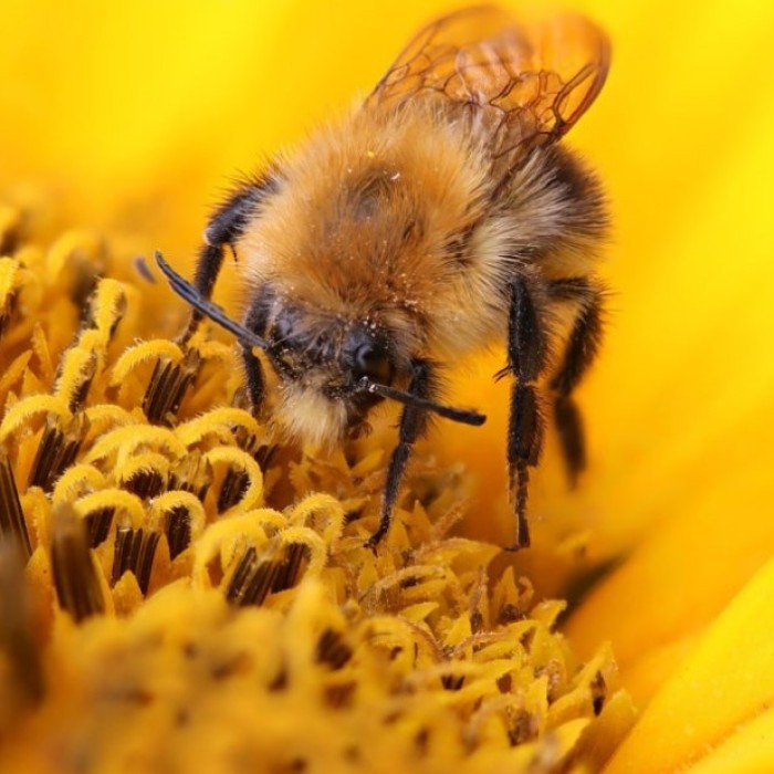 February 2026: Must-Visit Popup Stores and Perfect Valentine's Day Date Ideas in Seongsu-dong671