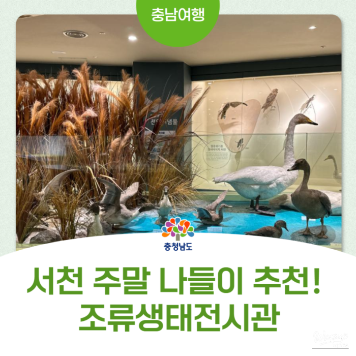 A Unique Winter Journey to Seocheon Bird Ecology Exhibition Hall2209