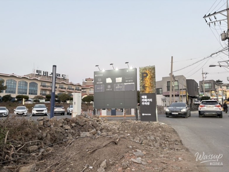 A Visit to Oasis80 Cafe in Jeju Island_02