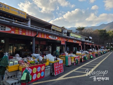 Exploring Seongnamsa Temple in Ulsan_03