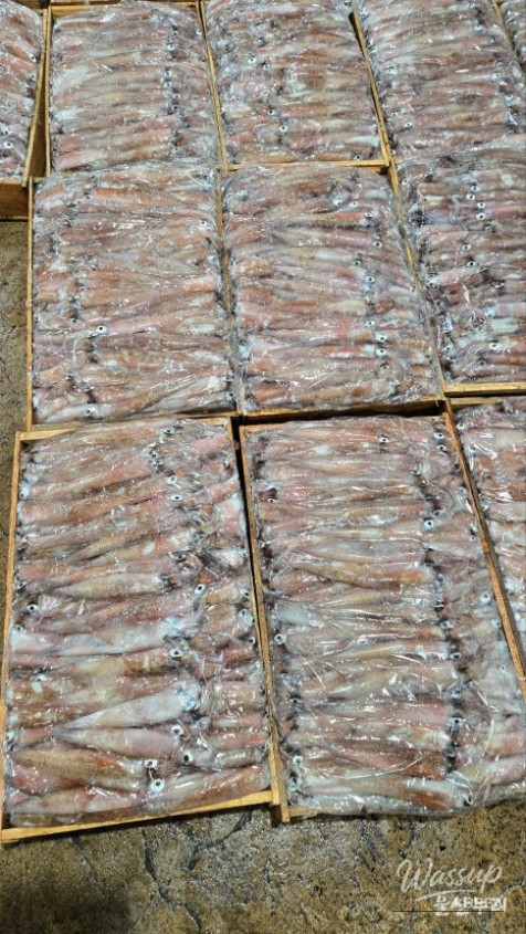 A Tranquil Morning at Daewangam Park_21