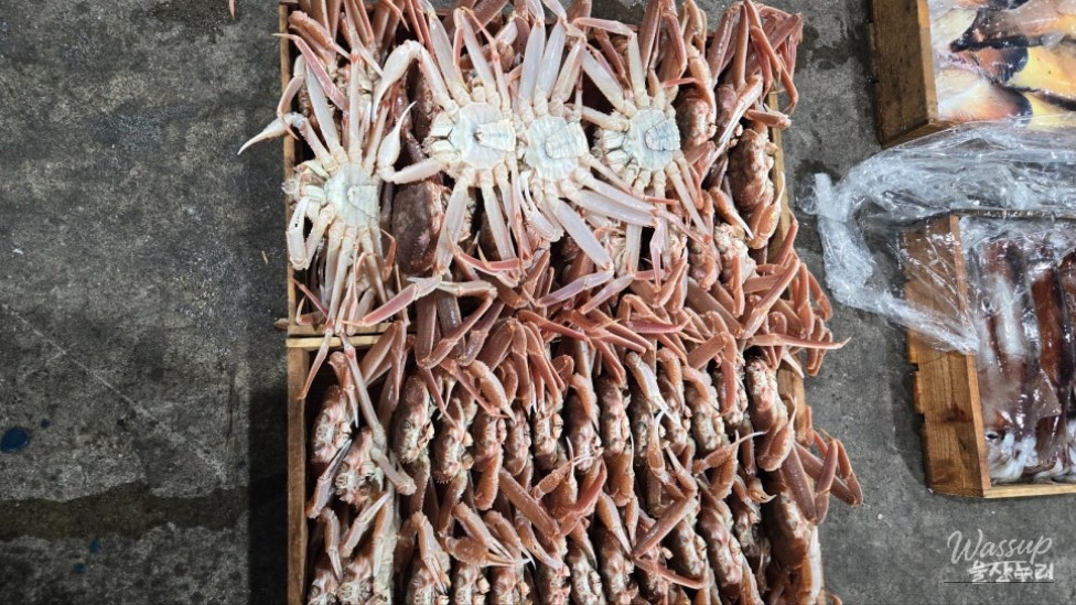 A Tranquil Morning at Daewangam Park_22