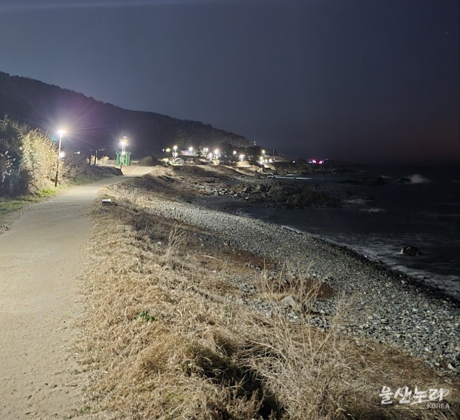 A Tranquil Morning at Daewangam Park_05