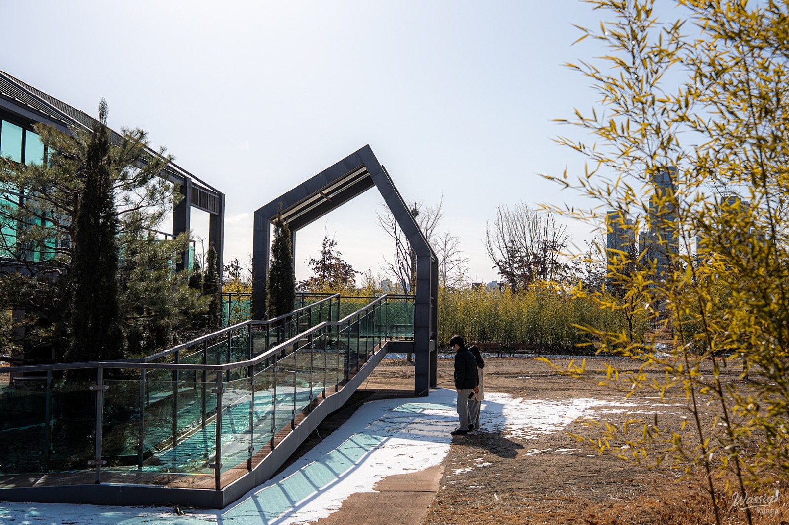 Discovering the Bamboo Forest in Sejong Central Park_10