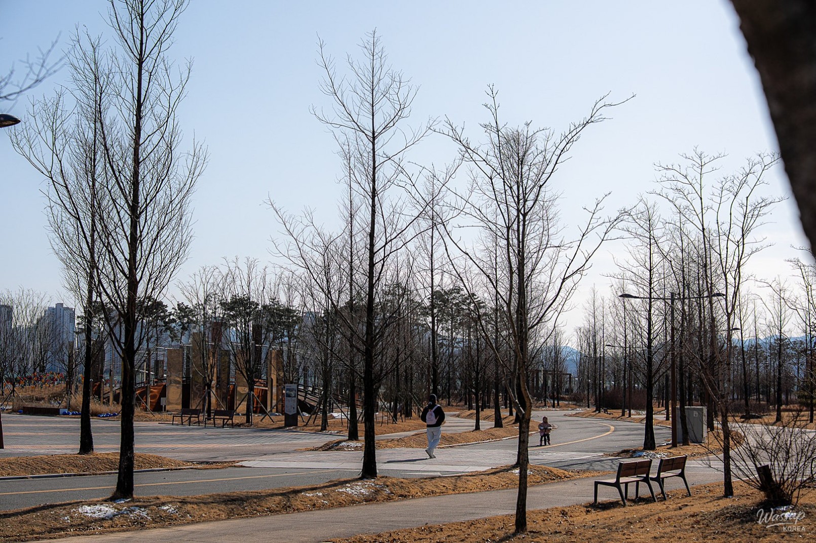 Discovering the Bamboo Forest in Sejong Central Park_14