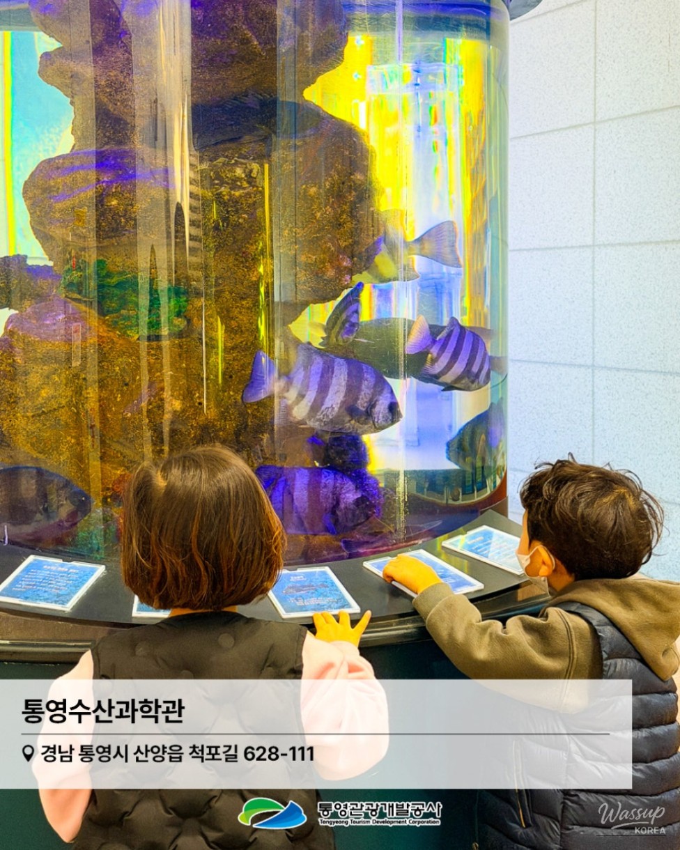 Recommended Travel Itinerary for the Lunar New Year in Tongyeong_08