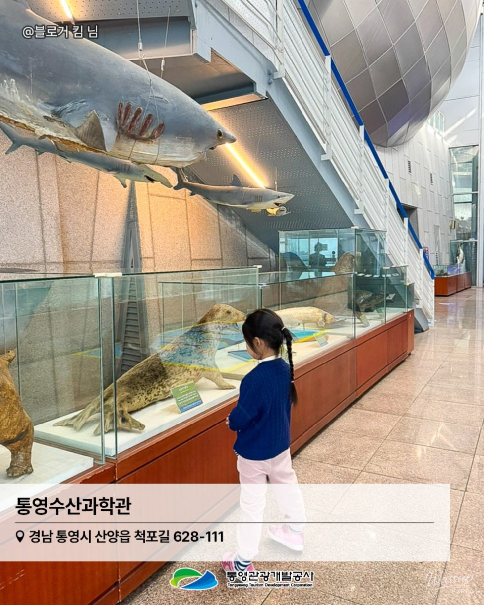 Recommended Travel Itinerary for the Lunar New Year in Tongyeong_09