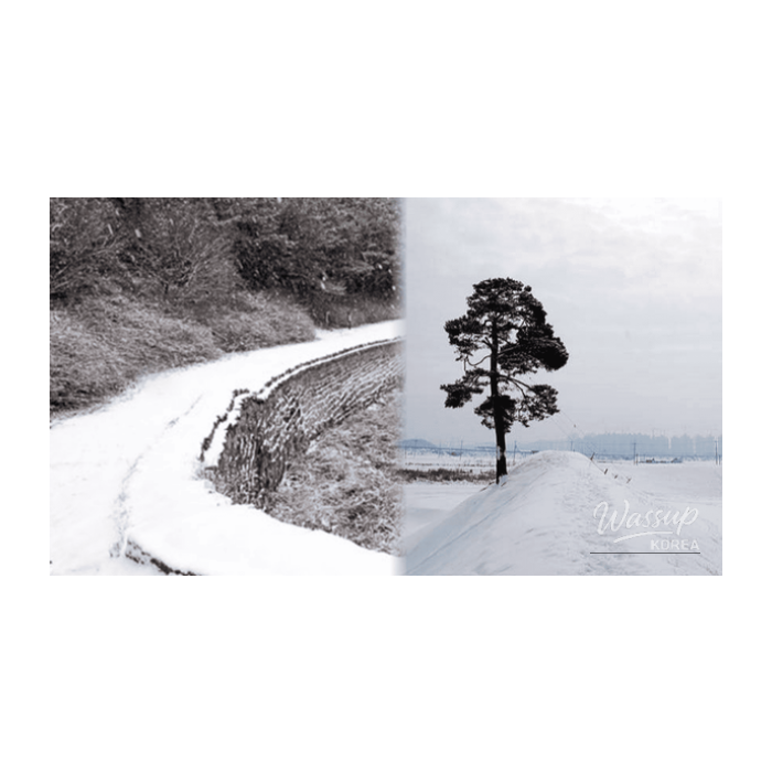 Exploring Cheongju: Top 4 Winter Destinations2235