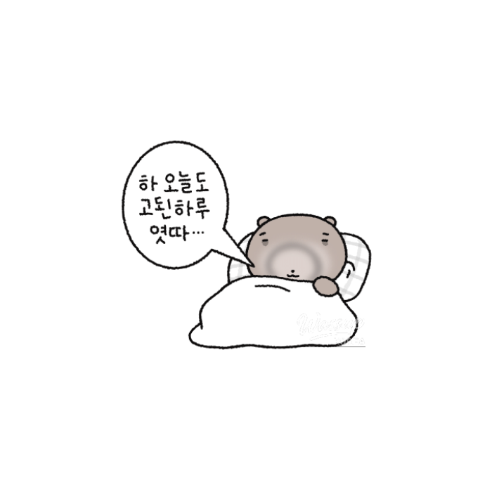 A Week of Reflections223