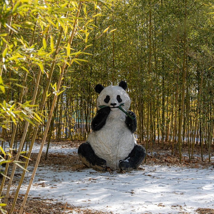Discovering the Bamboo Forest in Sejong Central Park299