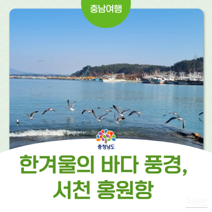 Exploring Hongwon Port in Seocheon During Winter2243