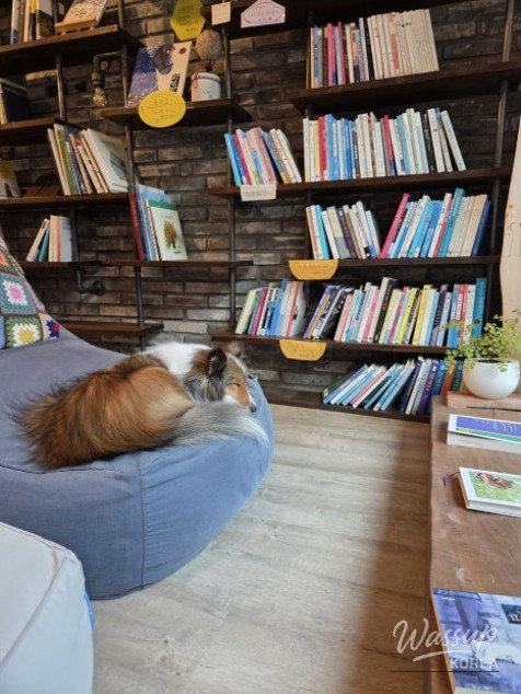 Stories from Jeonju's Bookstores_02