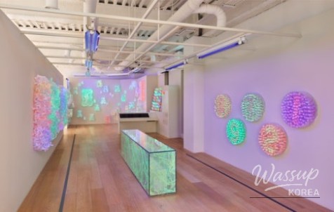 Exciting Changes at the Seoul Craft Museum Children's Museum_09