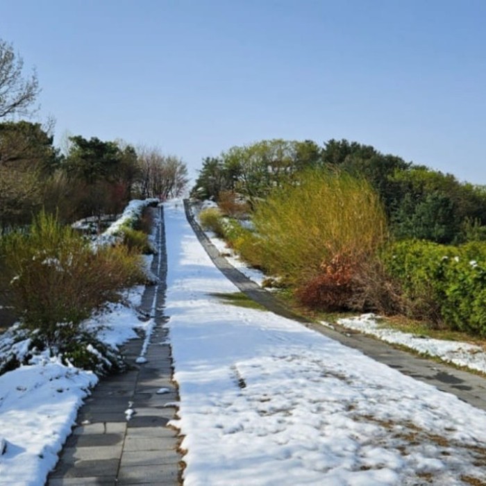 Exploring Yeonginsan Natural Recreation Forest2256