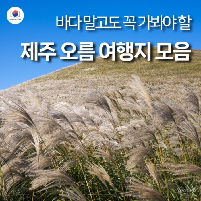 Exploring the Scenic Hills of Jeju2258