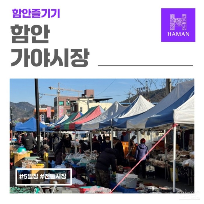 Exploring the Vibrant Gaya Traditional Market in Hamann1257