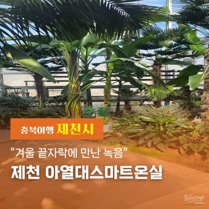 Visit the Jecheon Subtropical Smart Greenhouse2288