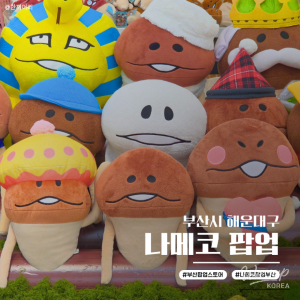 Review of the Namako Popup Store in Busan_01