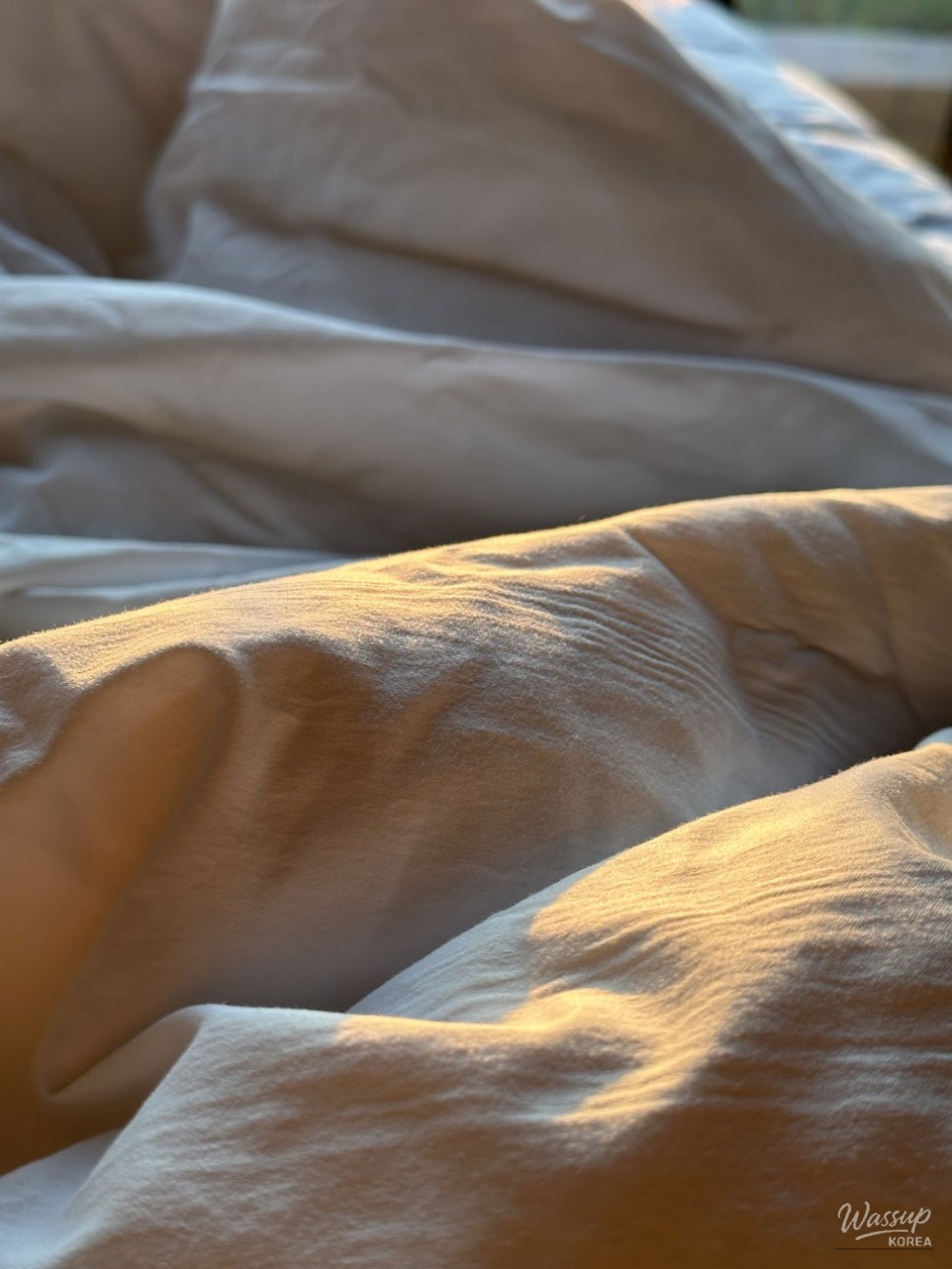 Solo Travel in Jeju: A Perfect Getaway_10