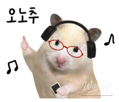 Traditional Korean Tea Bag Set Review_09