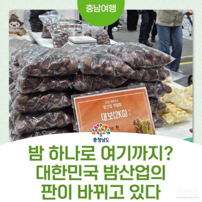 2026 Korea Chestnut Expo in Gongju2293