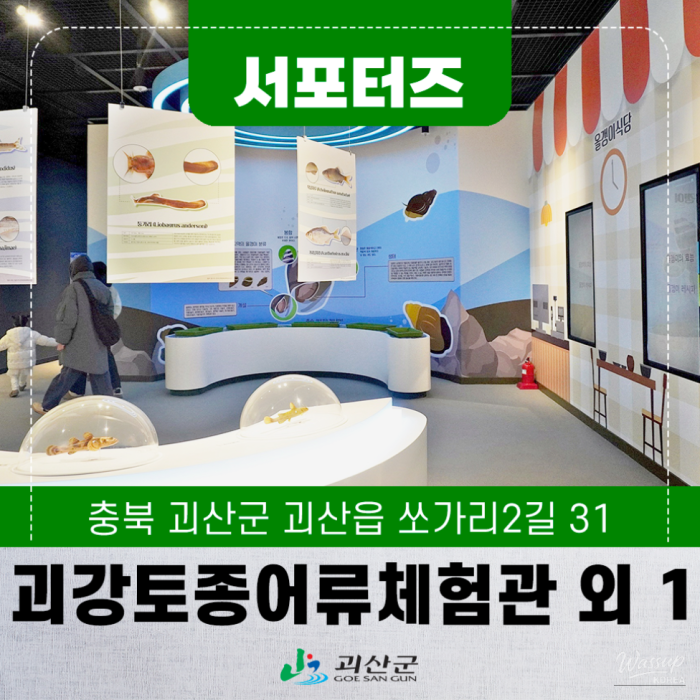 Exploring the Winter Beauty of Goesan2294