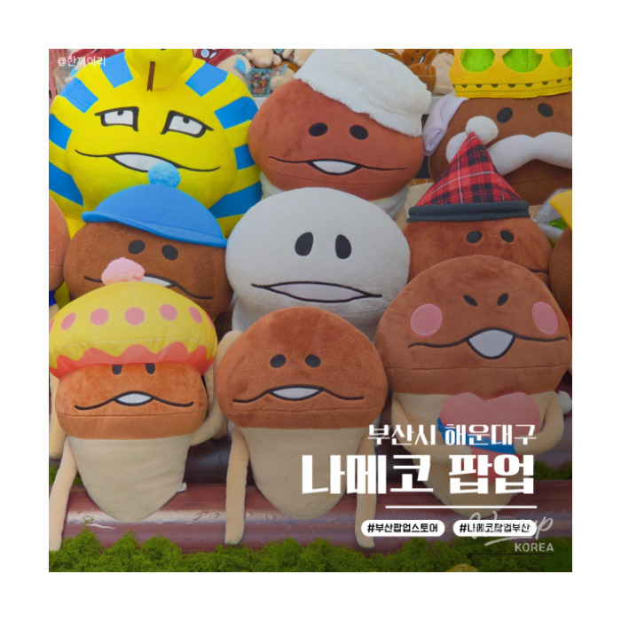 Review of the Namako Popup Store in Busan1265