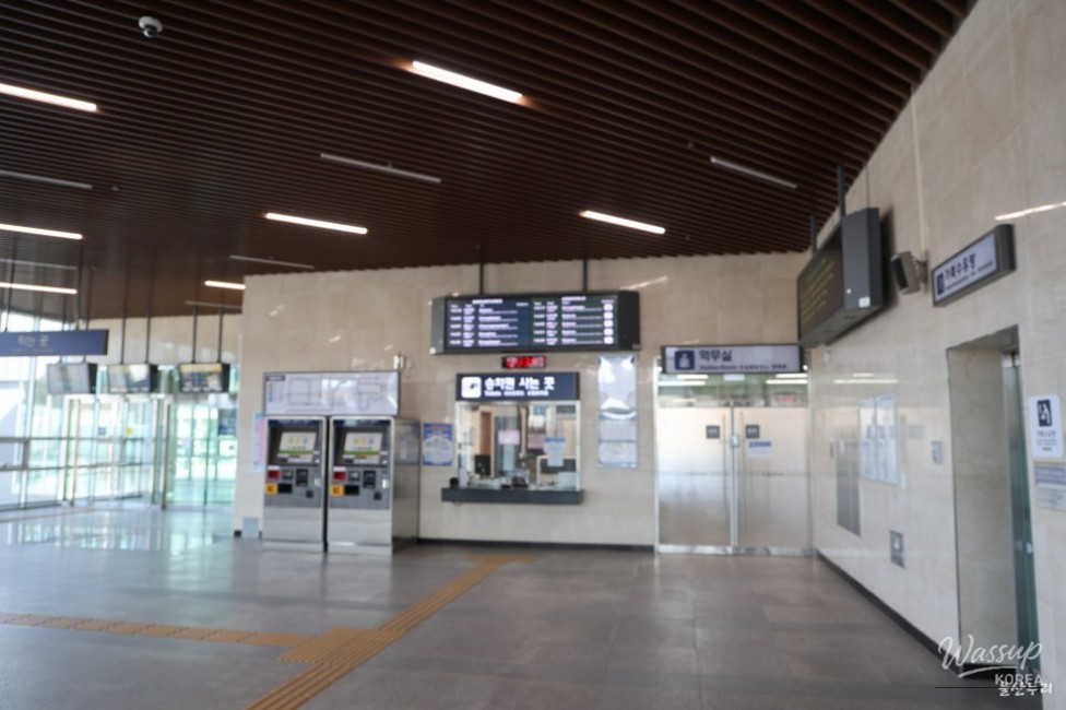 The Role of Transportation in Urban Development_11