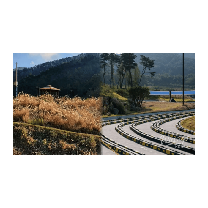 Exploring the Beauty of Busan in February: Top 4 Photo Spots2298