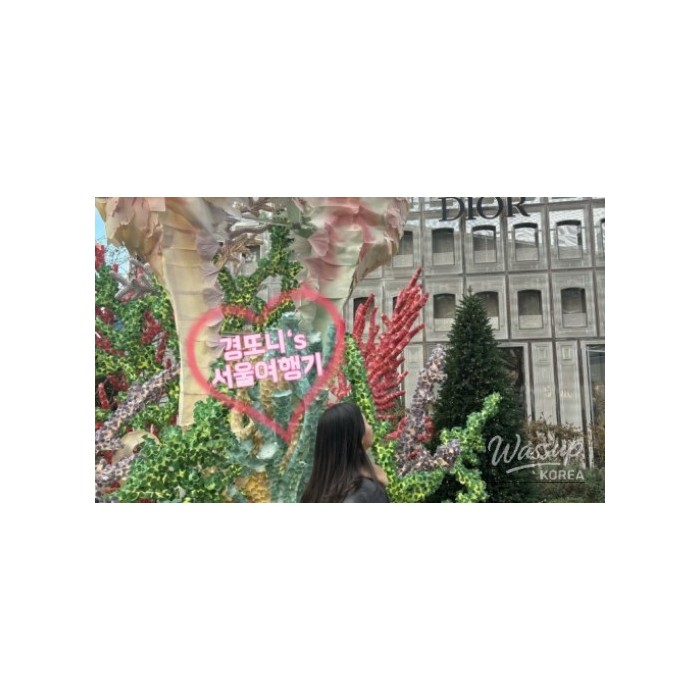 My Culinary Adventure in Seoul1888