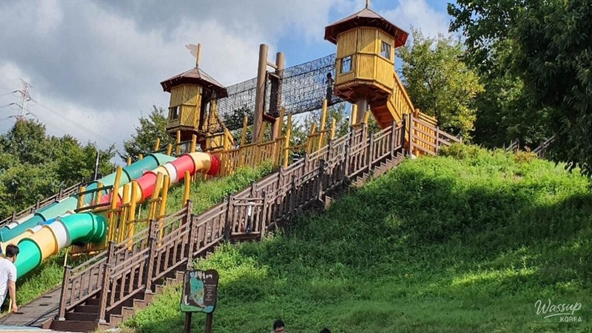 Discovering the Tranquil Beauty of Jadra Forest_05